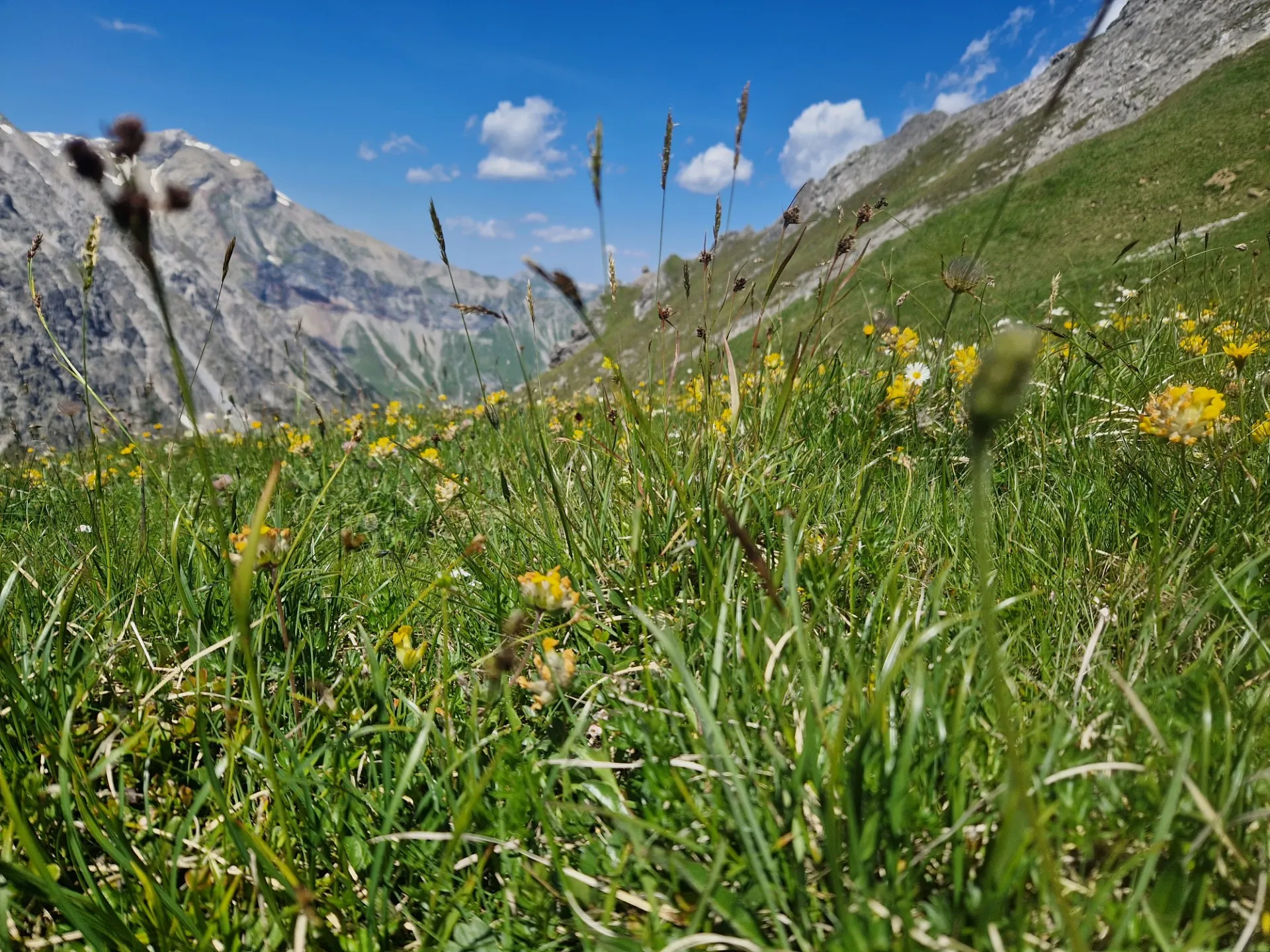 Geschäftsordnung Geschäftsordnung