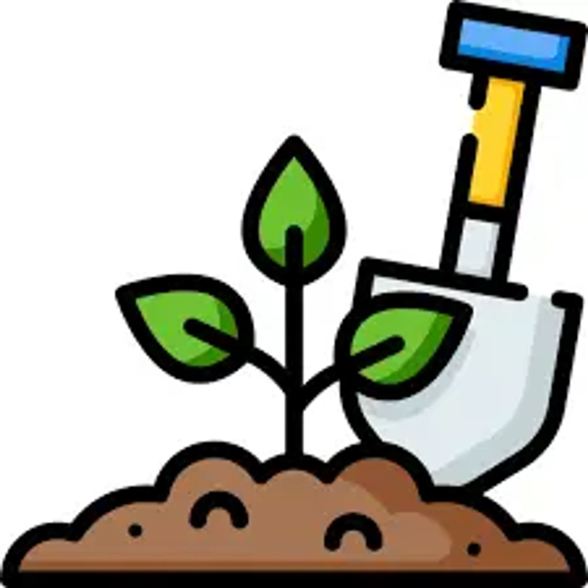 Picture4.png
